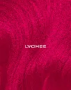 lycheehaircopy2.webp