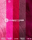 pinkcomparisonswatchescopy_49312047-e011-4b87-b7c0-0b5b4e4434e0.webp